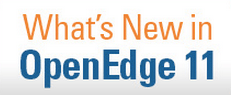 What's New in OpenEdge 11