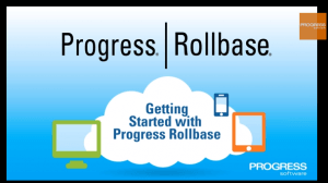 Rollbase Development Environment