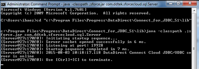 Launch the Java cloud service from a command prompt.