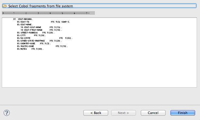 Legacy data structure from COBOL copybook. 